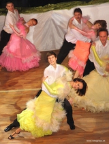Ples mesta úspešne otvoril sezónu v Prievidzi