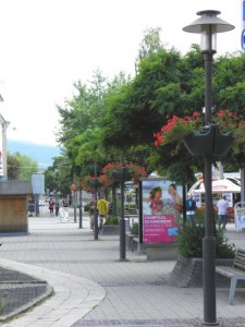 Zakvitnutá Prievidza |