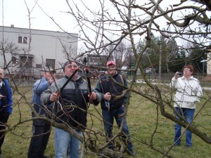 Záhradkári súťažili v reze ovocných stromkov
