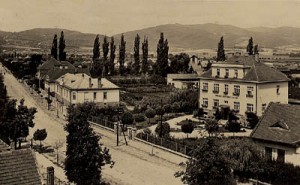 Fotogaléria |