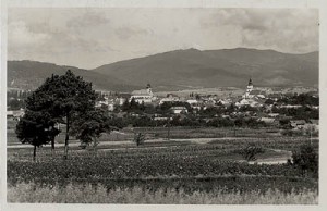 Fotogaléria |
