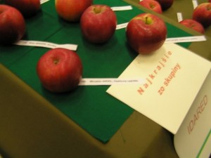 Celoslovenská súťaž o najkrajšie jablko roku 