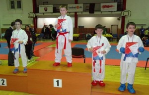 Športová škola karate Prievidza opäť najlepšia na Slovenskom pohári