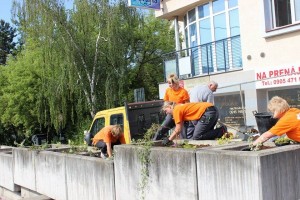 Nová výsadba betónových kvetináčov nad podjazdom v Prievidzi
