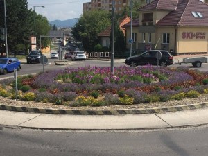 Výsadba kvetín v Prievidzi