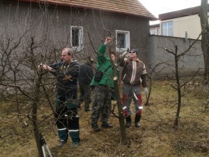 Záhradkari súťažili v reze stromčekov