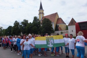Slovenský sokolský zlet v Gajaroch 