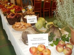 Okresná výstava ovocia a zeleniny
