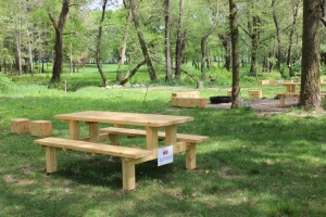 Rozšírenie piknikovej zóny v Mestskom parku