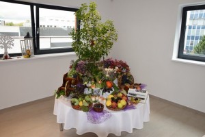 Tradičná okresná výstava ovocia, zeleniny a kvetov