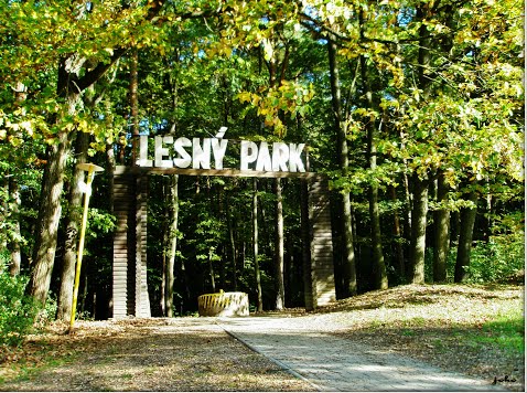 Lorem ipsum dolor sit amet