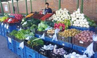 Lorem ipsum dolor sit amet