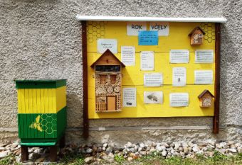 Lorem ipsum dolor sit amet
